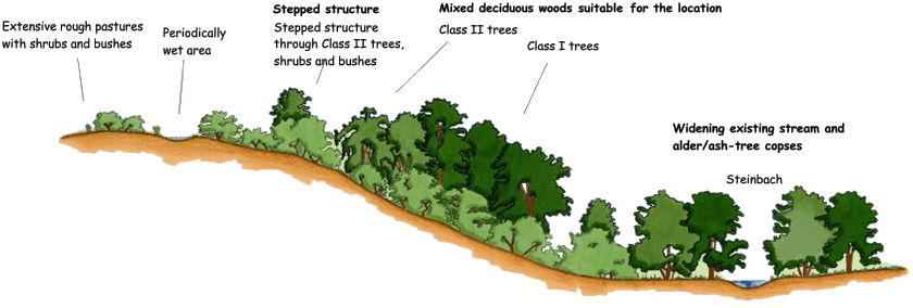 Section through the recultivated area